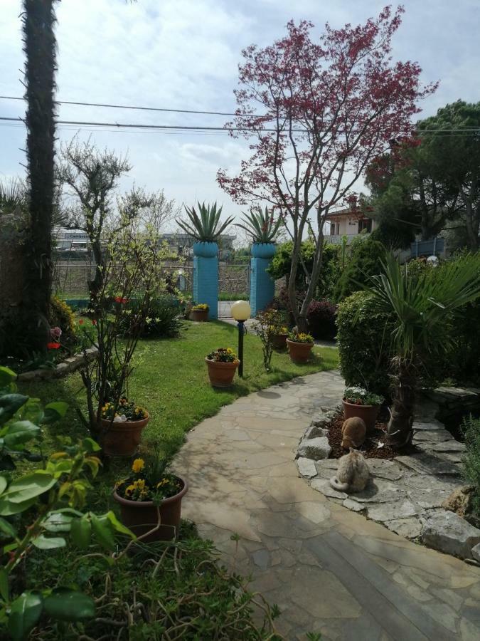 La Carlottina Villa Codevigo Buitenkant foto
