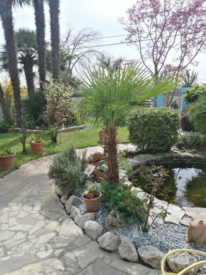 La Carlottina Villa Codevigo Buitenkant foto